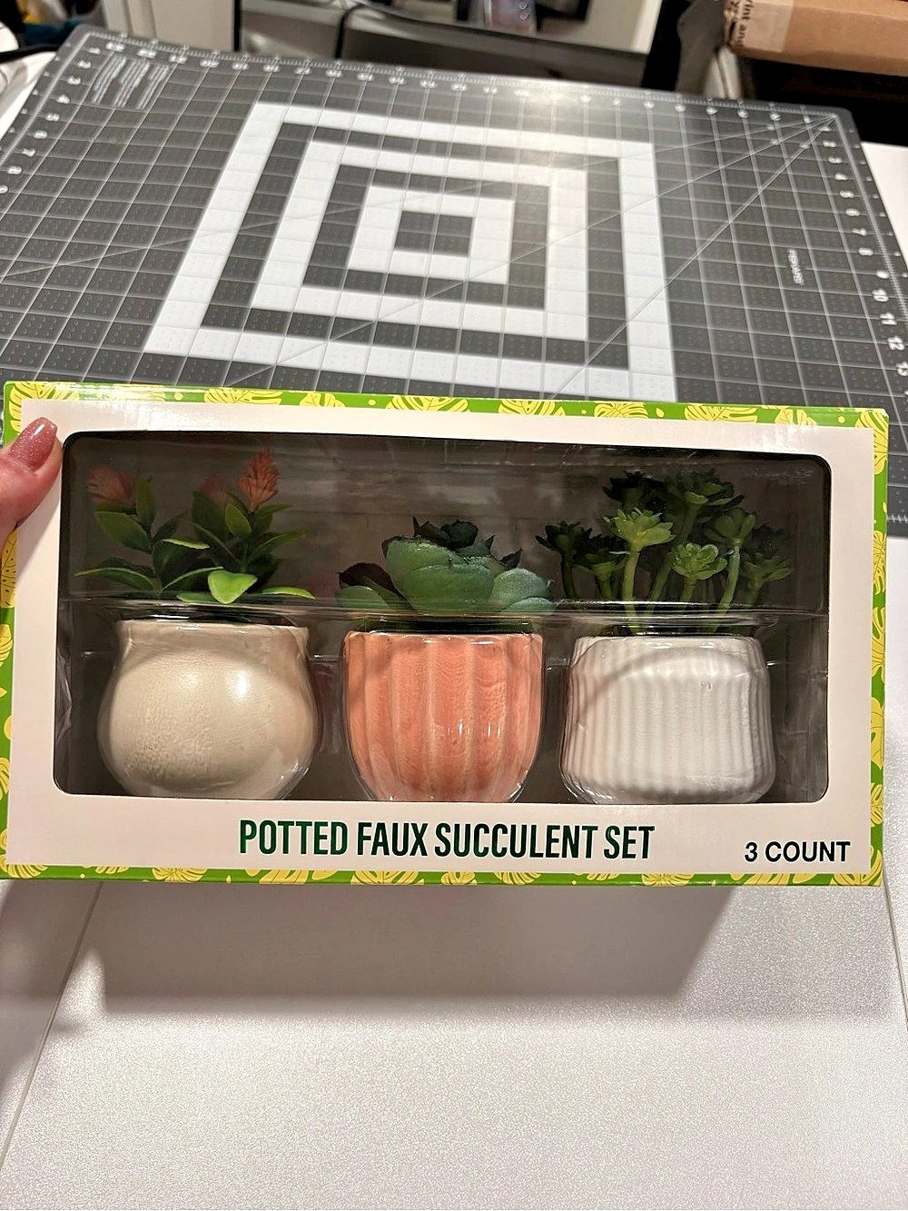 Festive Voice Potted Faux Succulent Set 3 Count